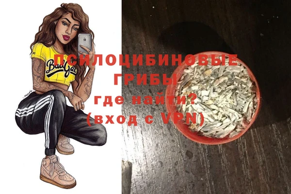 шишки Лагань