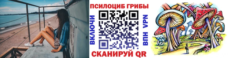 площадка официальный сайт Таганрог Галлюциногенные грибы GOLDEN TEACHER